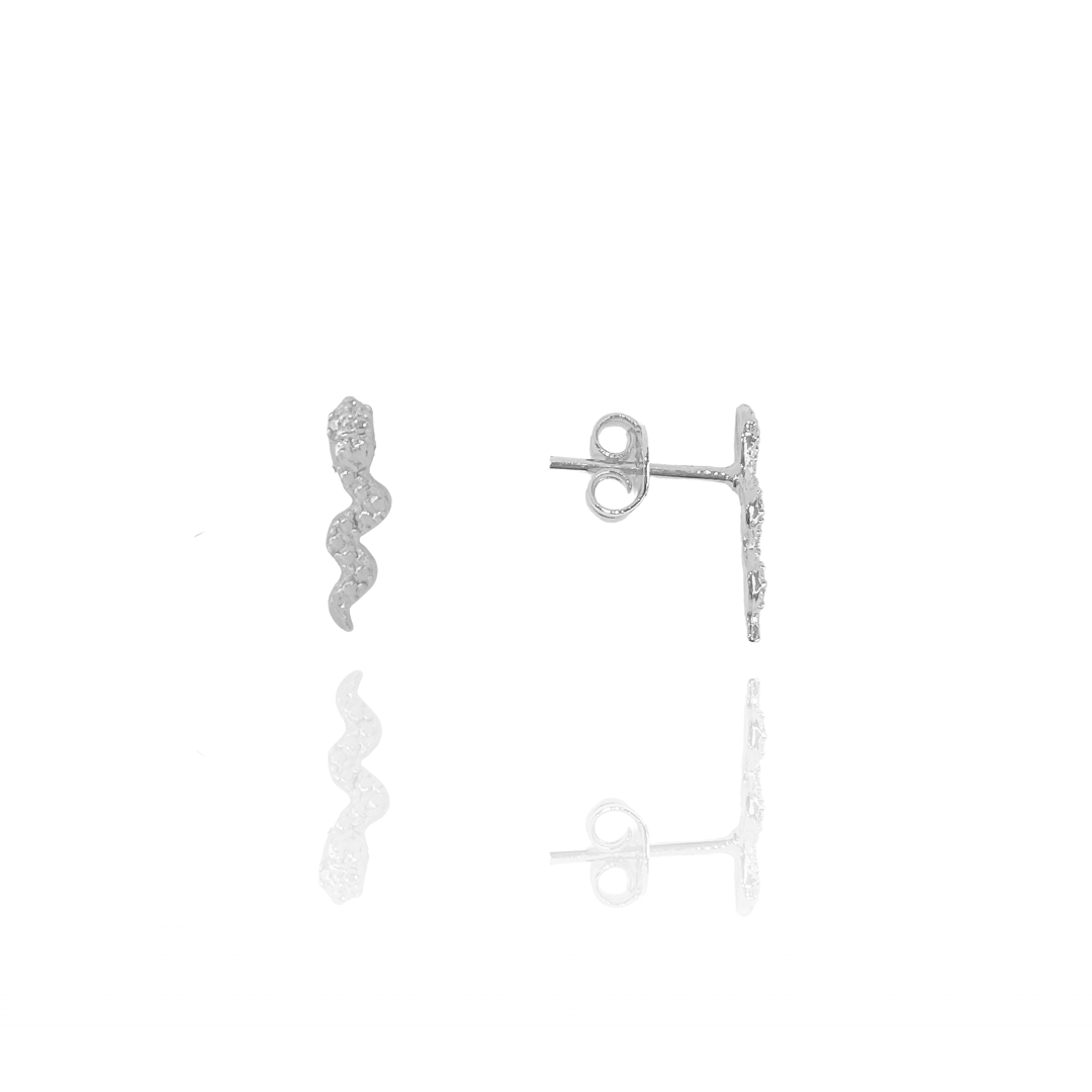 Brinco Python